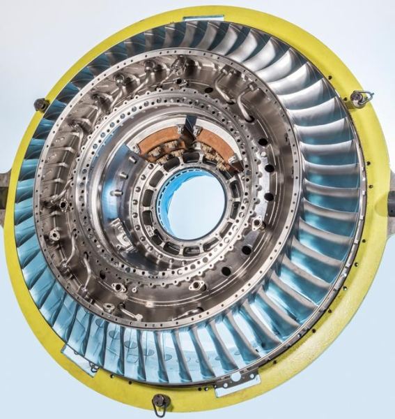 timg (53).jpg timg (53).jpg